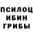 Псилоцибиновые грибы Magic Shrooms Mark Matthes