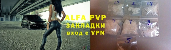 стаф Алзамай