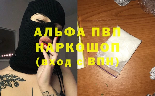 стаф Алзамай