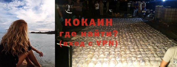 стаф Алзамай